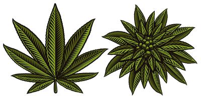 400x200 Hemp Free Vector Art