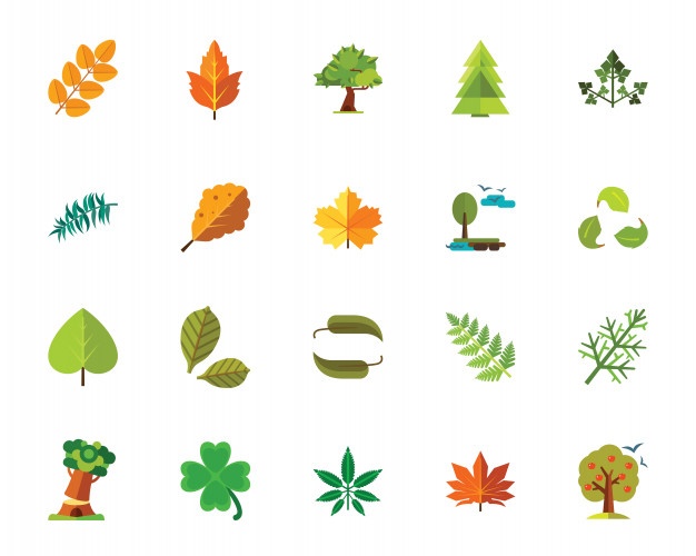 626x500 Hemp Vectors, Photos And Free Download