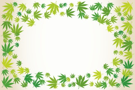 450x300 Marijuana Light Green Leaves Blank Frame Over White Hand Drawn
