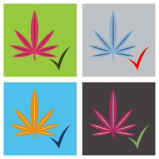 310x310 Set Of Flat Hand Drawn Color Botanical Of Hemp Vector