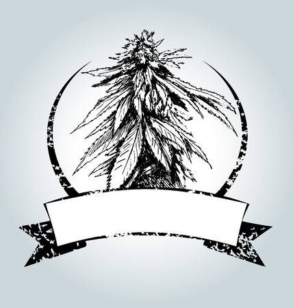 428x450 Stock Vector Cannabis In Plant Vector, Vintage Labels