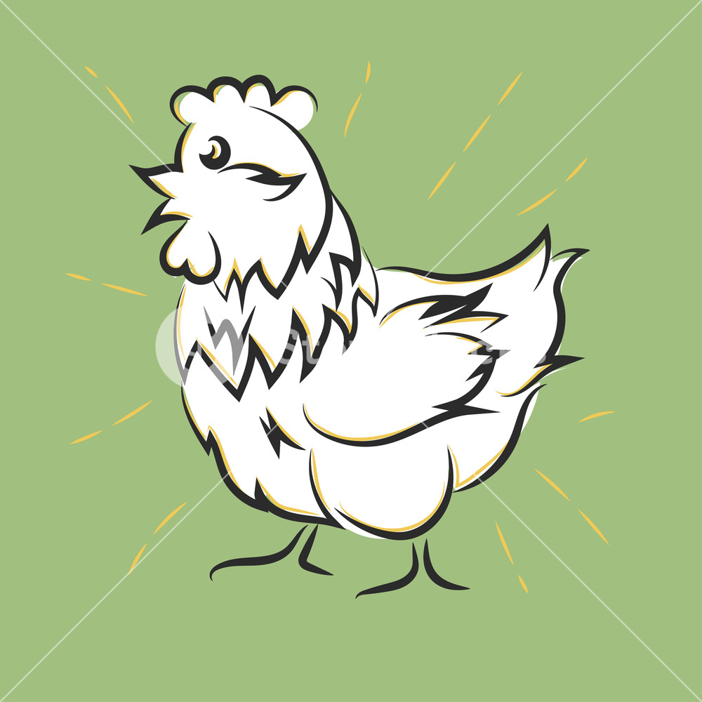 1000x1000 Chicken Hand Drawn, Happy White Hen Vector Royalty Free Stock