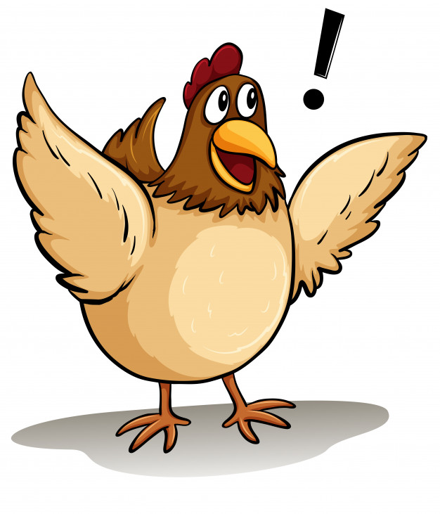 626x731 A Fat Hen Vector Free Download