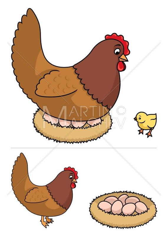 570x807 Hen Vector Cartoon Illustration Fowl Chick Eggs Nest Etsy