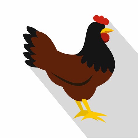 449x450 Hen Icon Flat Illustration Of Hen Vector Icon For Web Design