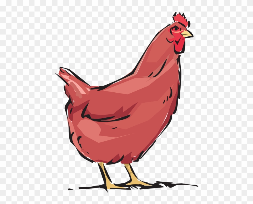 880x709 Red Hen,animal,farm,free Vector Graphics