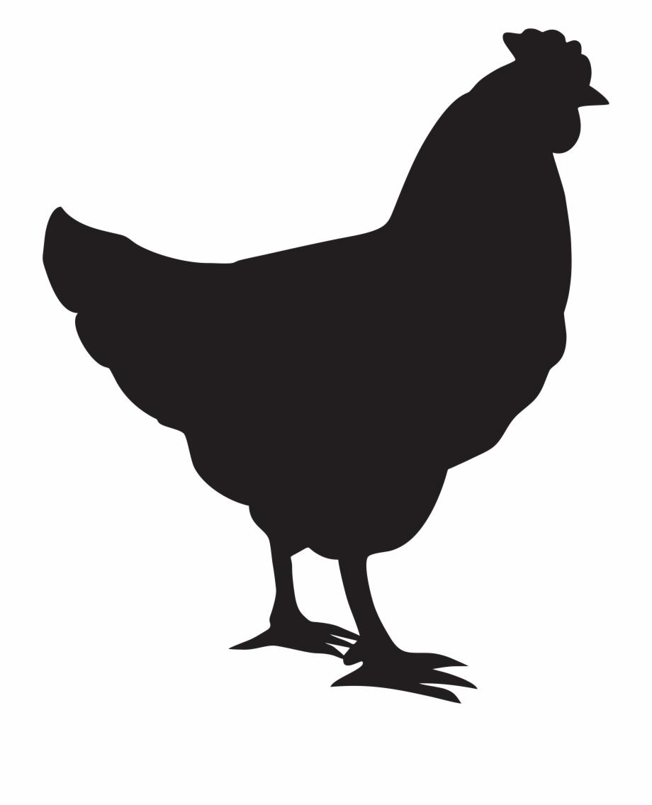 920x1136 Unique Silhouette Nesting Hen Vector Pictures Vector Images Design