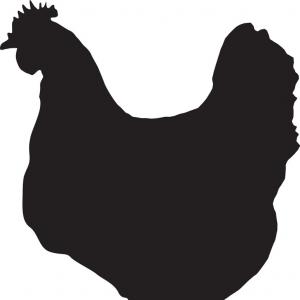 300x300 Black Silhouette Of Hen Vector Geekchicpro