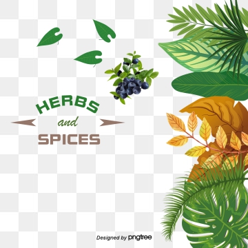 360x360 Herb Vector Png, Vector, And Clipart With Transparent