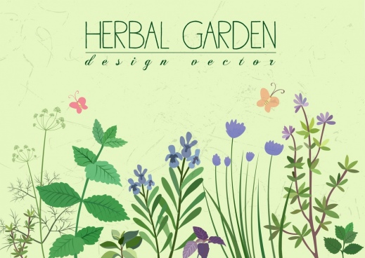 519x368 Herb Free Vector Download
