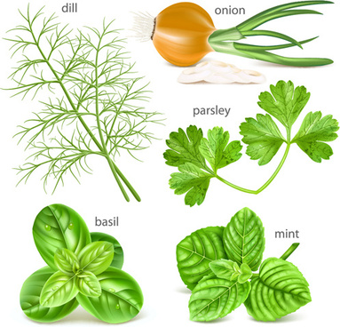 383x368 Herb Vector Free Vector Download