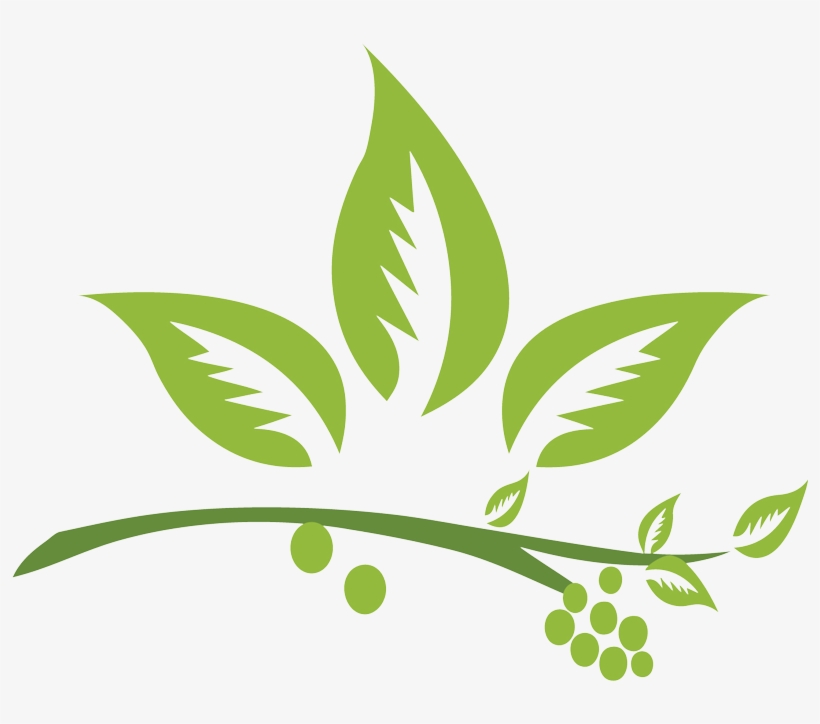 820x724 Transparent Library Herb Vector