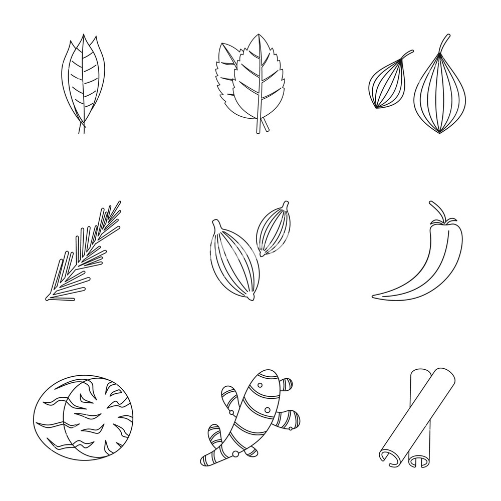 1000x1000 Eco Spices And Herb Icon Set Outline Set Of Eco Spices And Herb