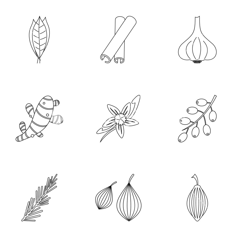1000x1000 Spices And Herb Icon Set Outline Set Of Spices And Herb Vector