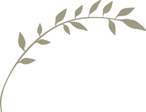 500x385 Hand Drawn Herb Vector Illustration Free Download