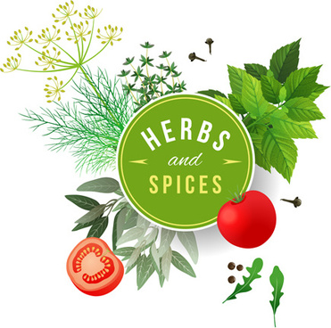 371x368 Herb Vector Free Vector Download