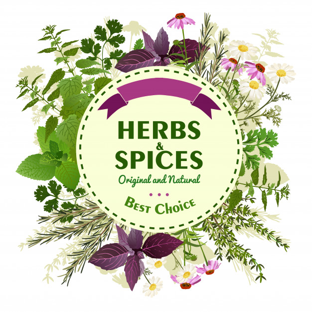 626x626 Herbal Background With Meadow Flowers Vector Free Download