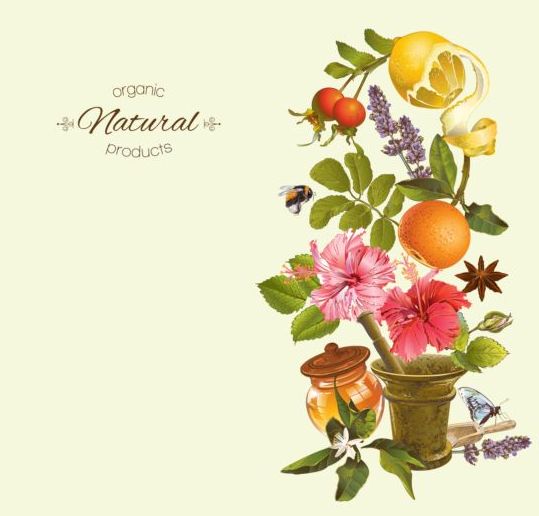 539x516 Herbal Tea Vintage Background Vector Free Download