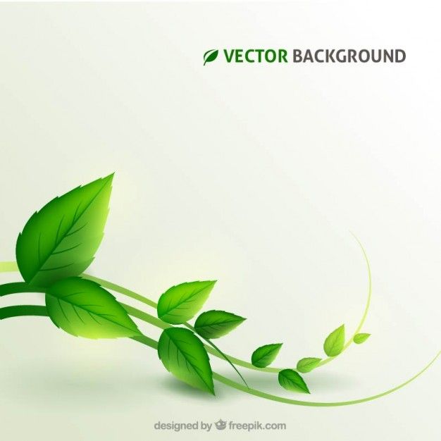626x626 Plant Background Free Vector Graphisme Plant Background