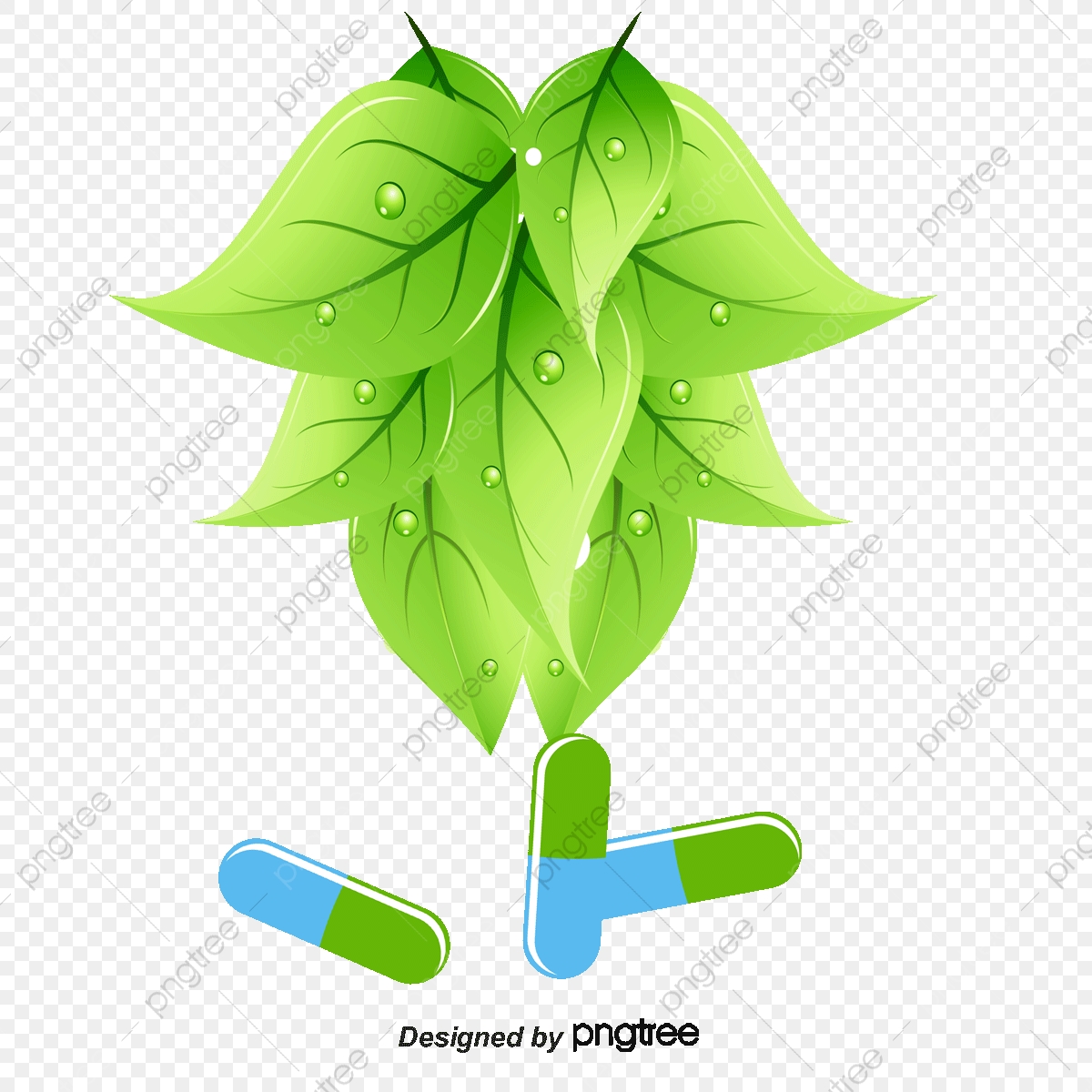1200x1200 Vector Herbal Background, Drugs, Herbs, Green Png And Vector