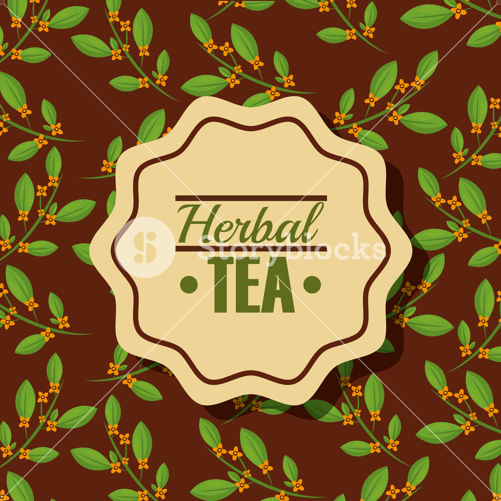 1000x1000 Herbal Tea Branches Seeds Label Background Vector Illustration