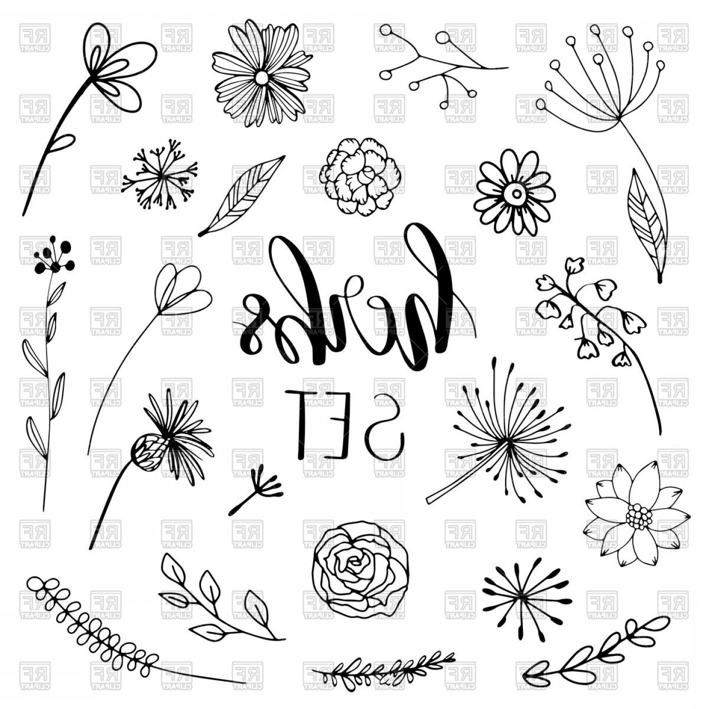 1440x1440 Floral And Herbal Set Botanical Background Vector Clipart Soidergi