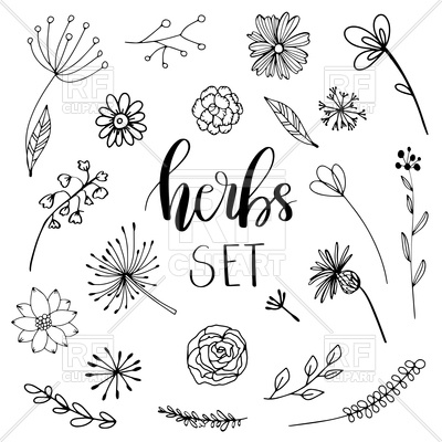 400x400 Floral And Herbal Set