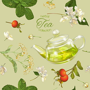 310x310 Herbal Tea Vector Free Graphics Uihere