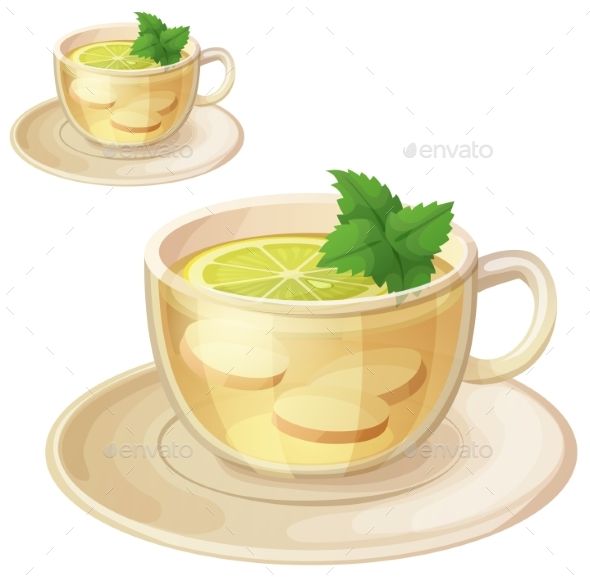 590x577 Herbal Tea With Ginger Root And Mint Illustration Cartoon Vector
