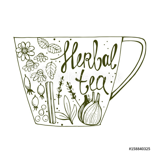 500x500 Herbal Tea Vector Illustration