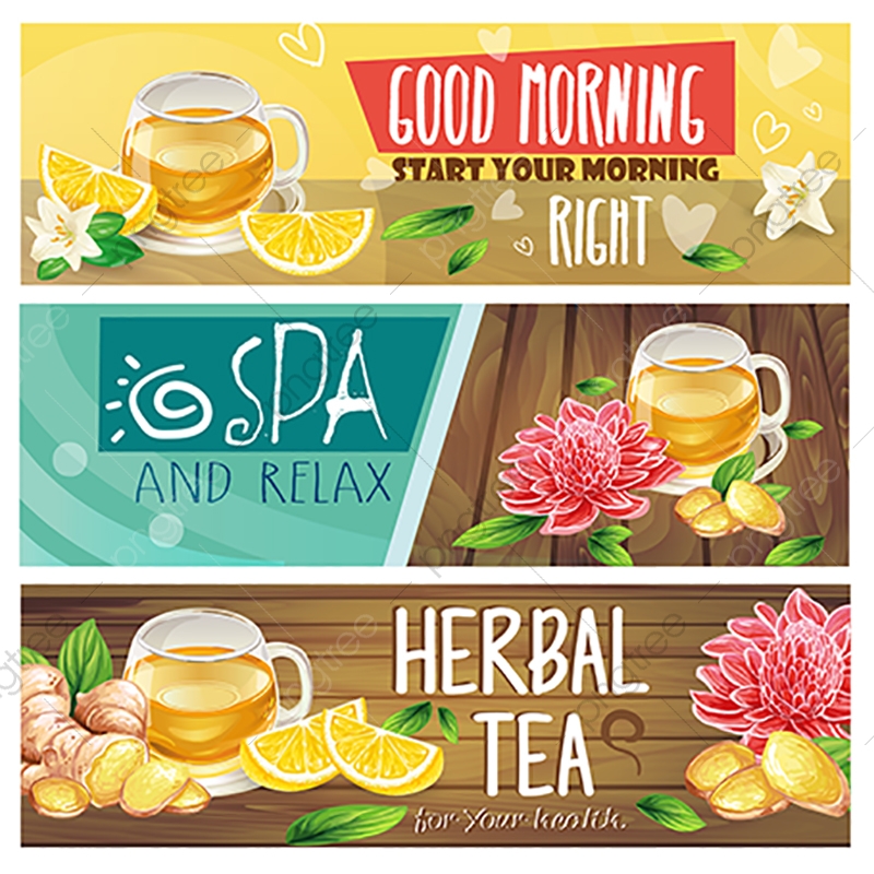800x800 Relaxing Morning Herbal Tea Vector Banners Set, Herbal, Ginger