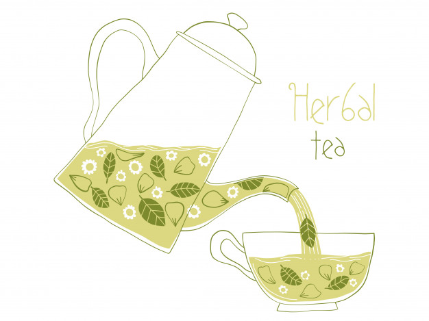 626x469 Vector Illustration Of Cute Kettle And Cup With Herbal Tea Vector