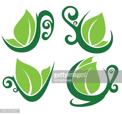 428x404 Herbal Tea, Vector Collection Of Cups Full Of Organic Drinks