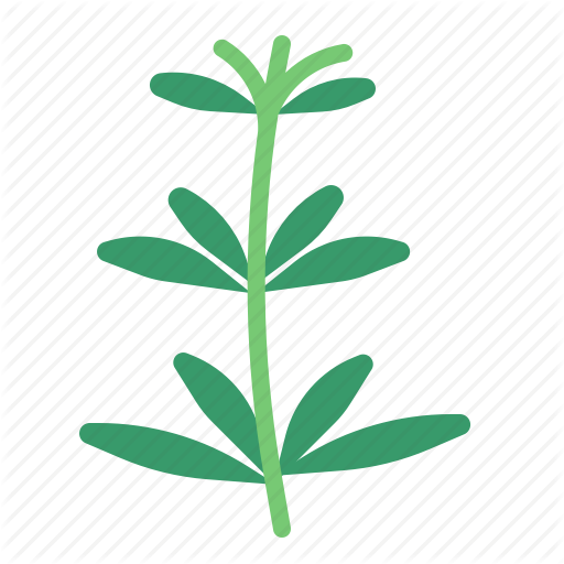 Herbal Vector Free Download