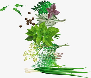 310x266 Free Download Seamless Endless Pattern Of Rosemary Branch