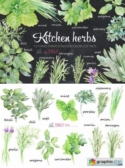 500x671 Kitchen Herbs Watercolor Clipart Free Download Vector Stock