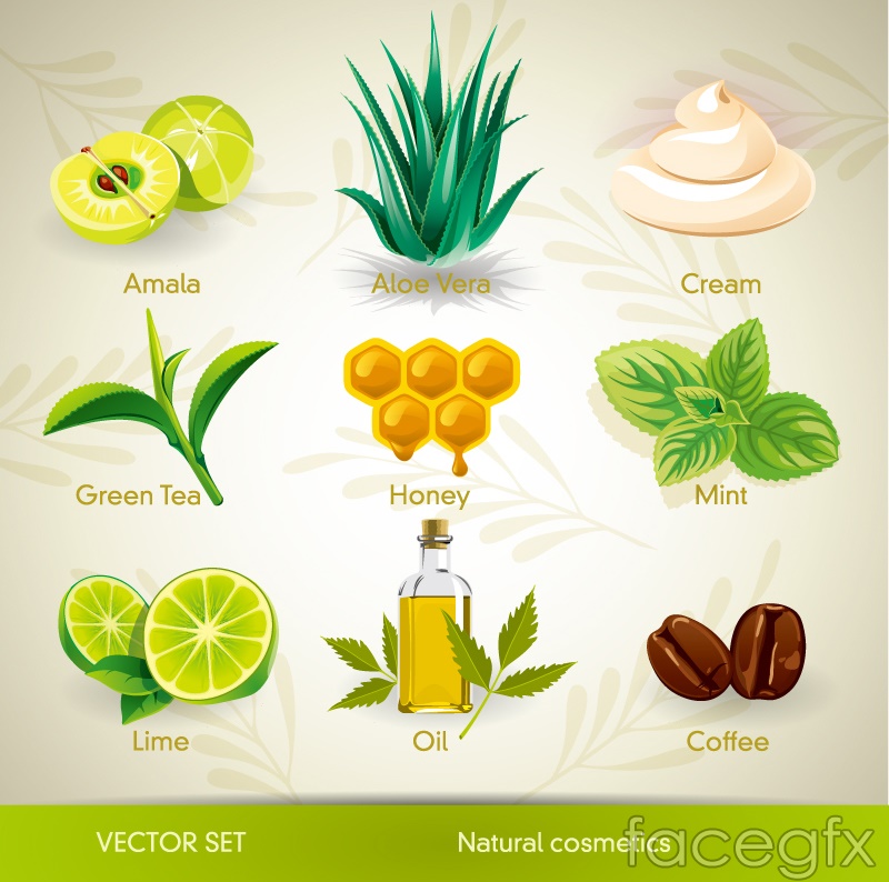 800x794 Natural Herbal Cosmetics Icon Vector Over Millions Vectors