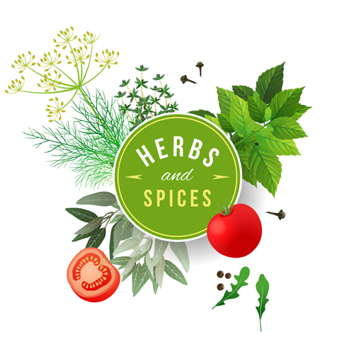 500x500 Refreshing Herbs And Spices Vector Background Free Download
