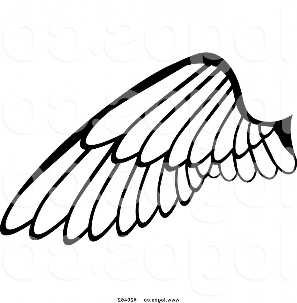1228x1252 Royalty Free Vector Logo Of A Black And White Feathered Wing