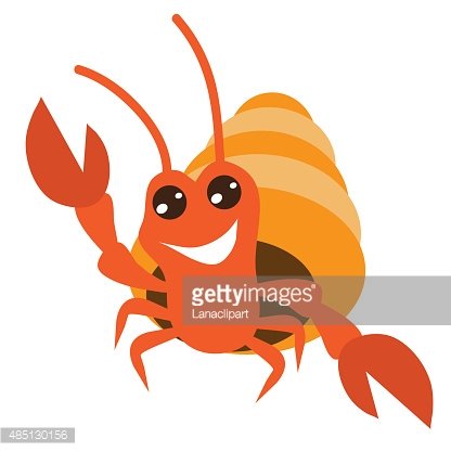 416x416 Hermit Crab Vector Illustration Stock Vectors