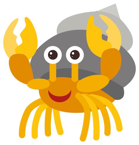 471x490 Hermit Crab On White Background Vector