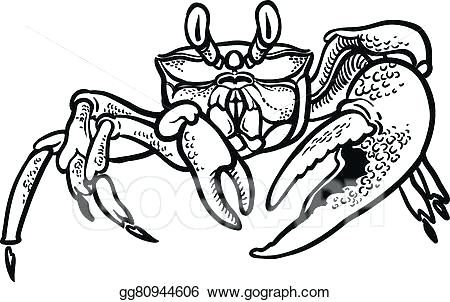 450x302 Drawing A Crab