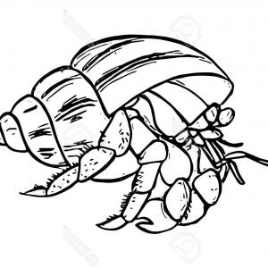 300x300 Crab Black Silhouette Aquatic Animal Vector Catchsplace