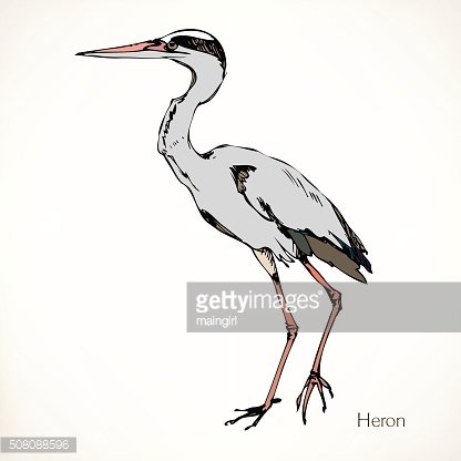 416x416 Heron, Vector Illustrations Premium Clipart