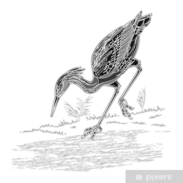 700x700 Heron Water Bird On The Hunt Vintage Engraving Vector Wall Mural