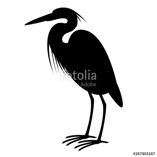 500x500 Heron, Vector Illustration,profile Side, Silhouette Stock Image