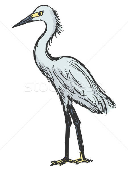 450x600 Heron Vector Illustration Oleksandr Kovalenko