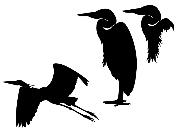 600x455 Free Heron Silhouette Vector Files, Vectors Graphics