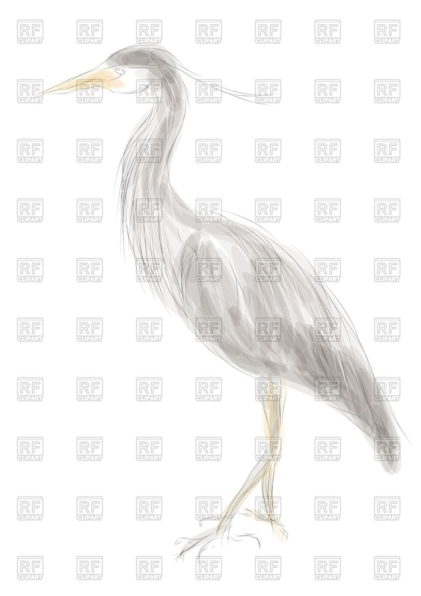 Heron Vector At Vectorified.com 