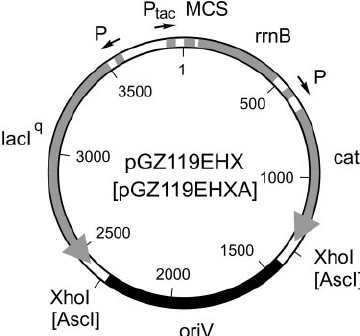 360x336 And As Vector Systems For Controlled